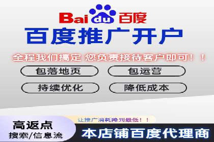 实战解析：百度竞价代运营公司如何实现广告投放效果最大化